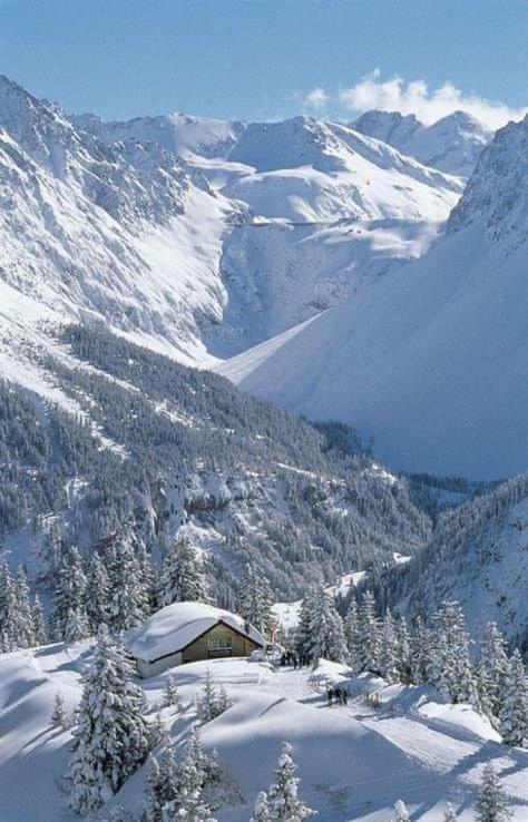 Апартаменты Finestra Sull'Adamello Пассо-дель-Тонале Экстерьер фото