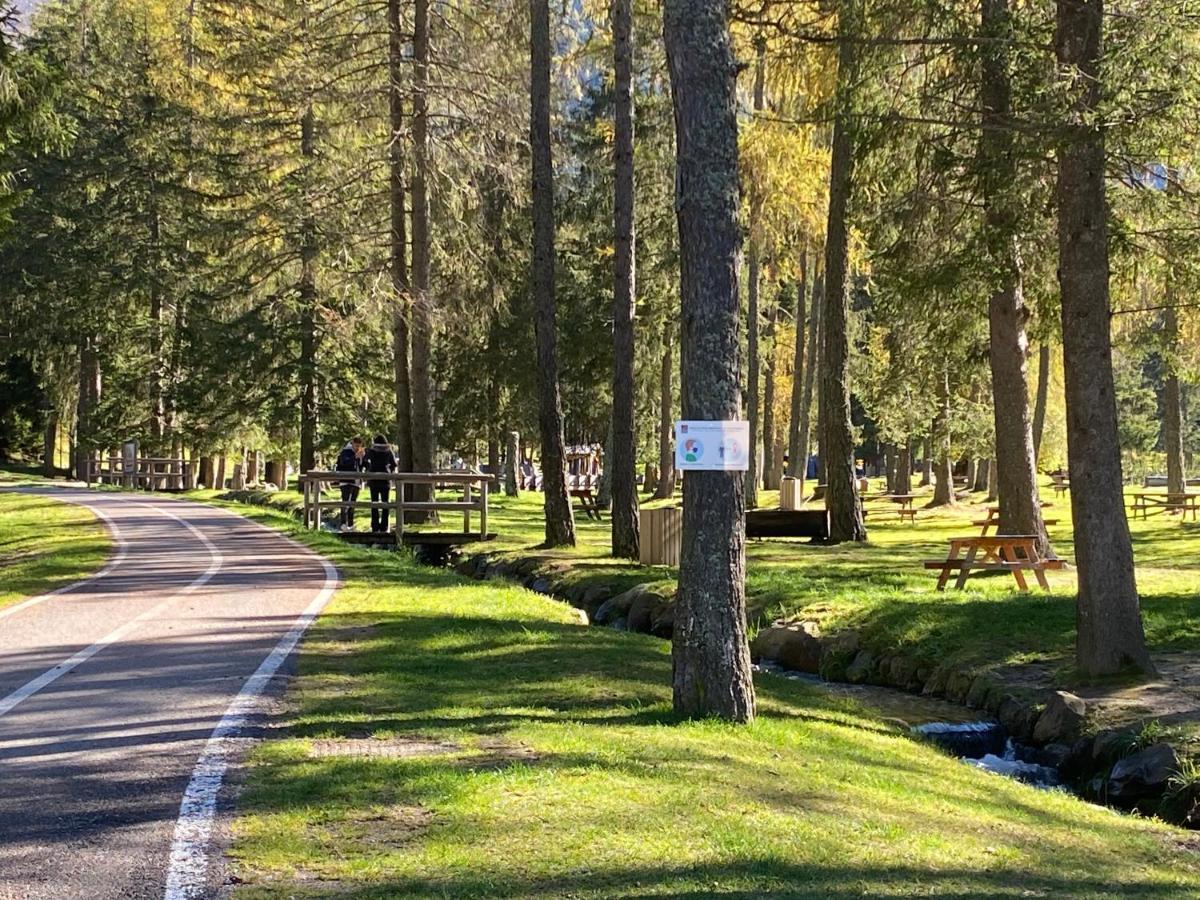 Апартаменты Finestra Sull'Adamello Пассо-дель-Тонале Экстерьер фото