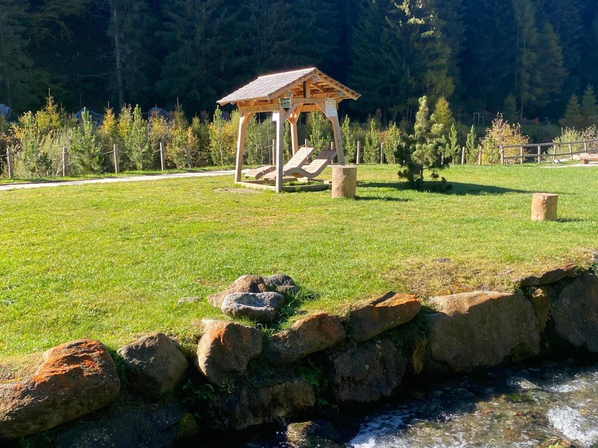 Апартаменты Finestra Sull'Adamello Пассо-дель-Тонале Экстерьер фото